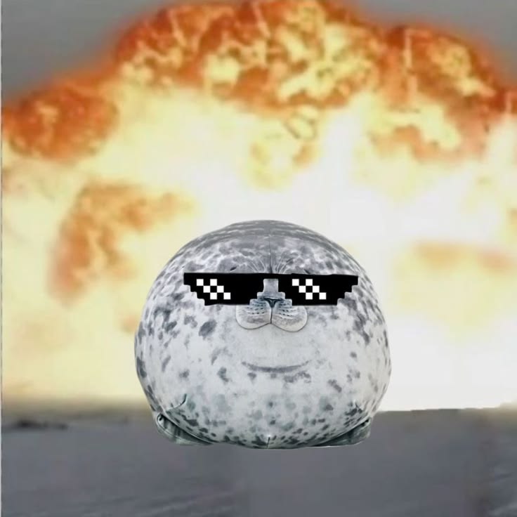 Tapi_Tapi